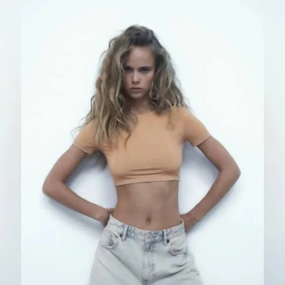 Zara Tops - ZARA Skims like fitted mink shortsleeve nude crop top Size L